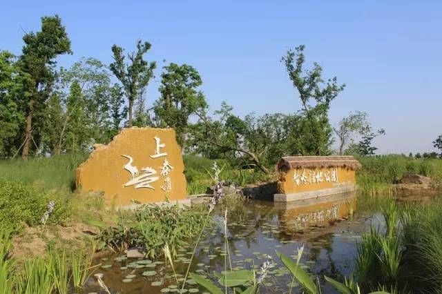 秦淮湿地公园最新动态，生态建设的蓬勃发展