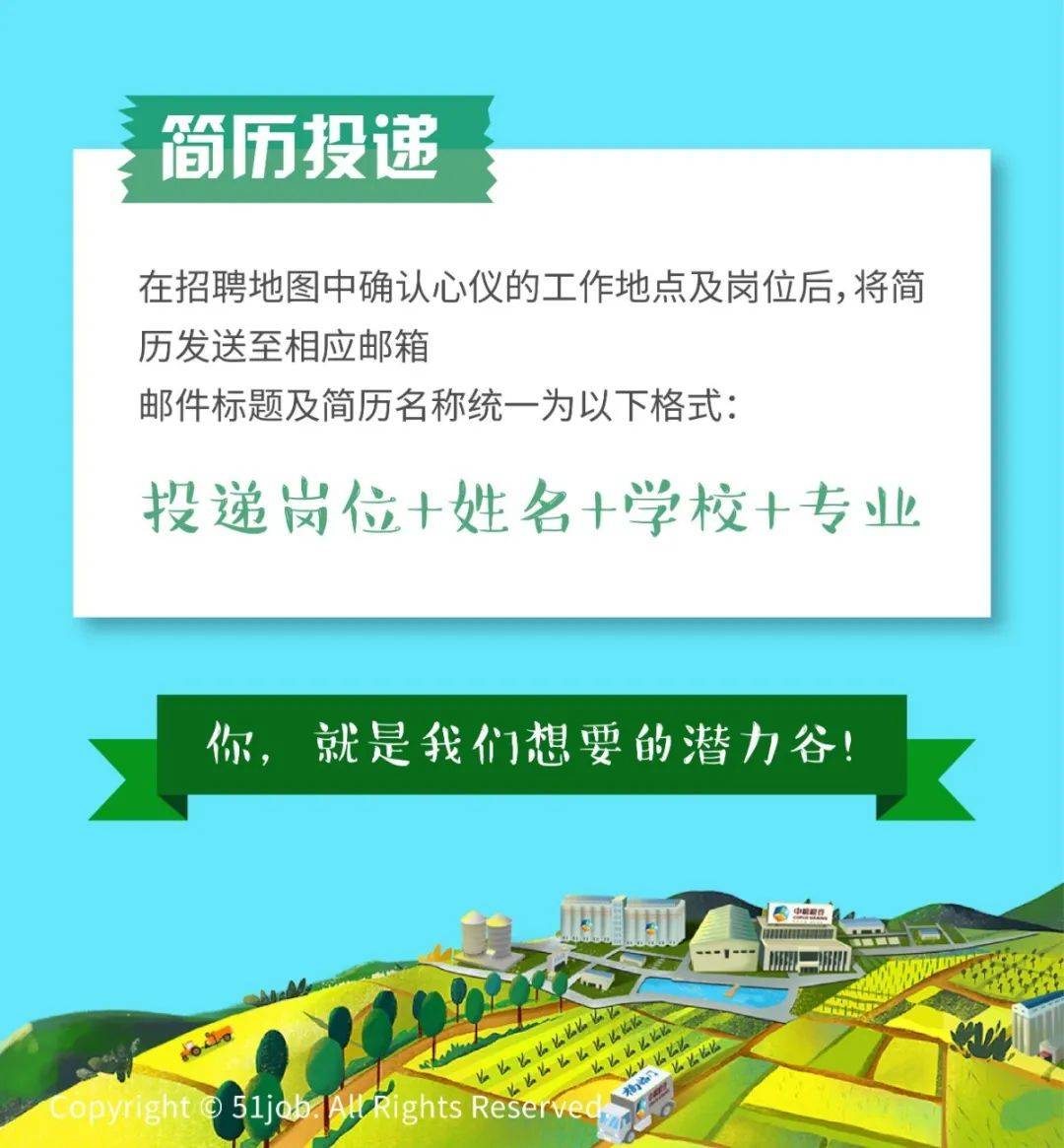 费县中粮最新招聘信息全解析，岗位、要求与相关内容探讨