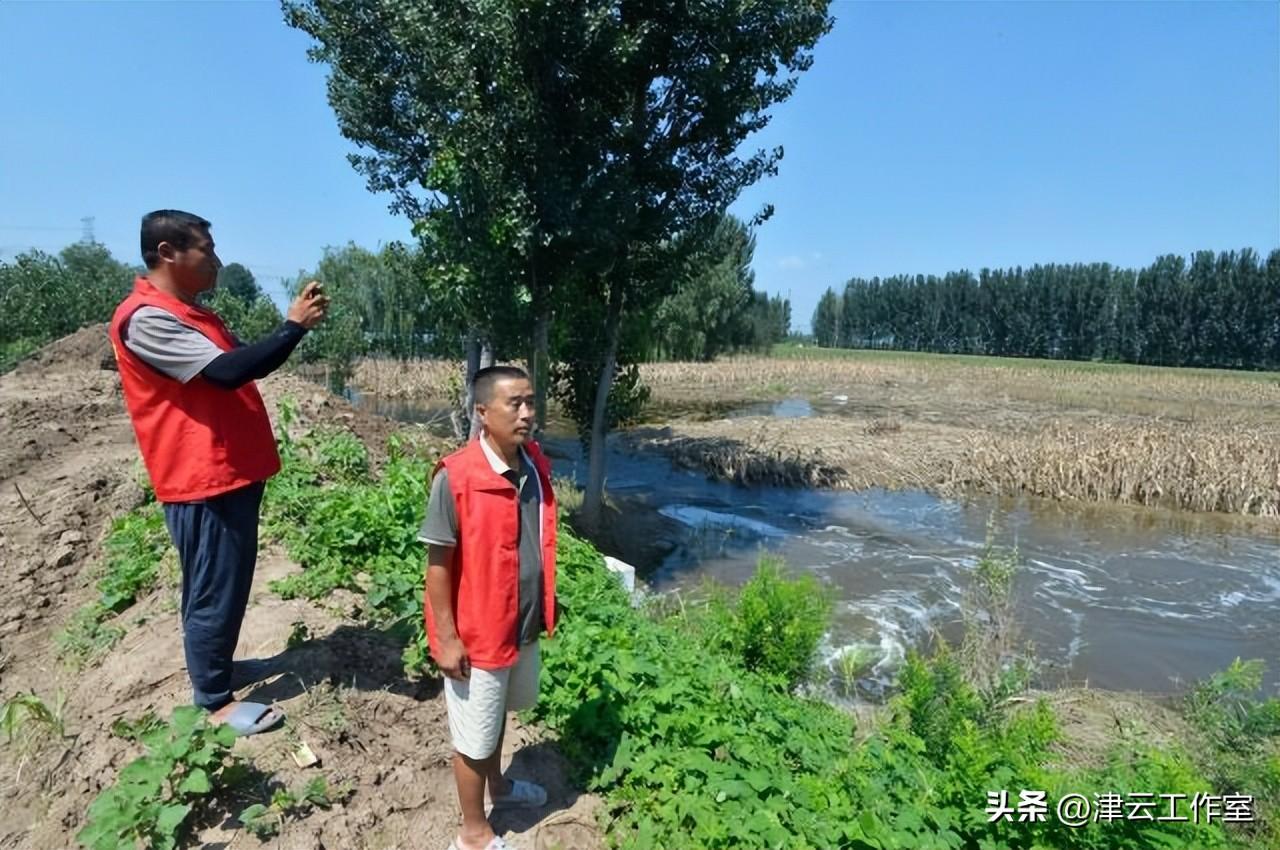 武清豆张庄的乡村蜕变与振兴之路