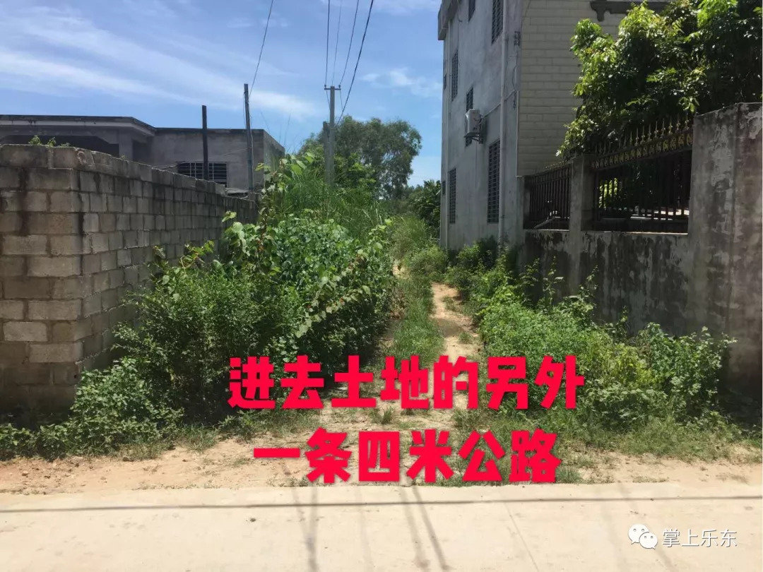 圭江论坛房屋出租最新动态概览