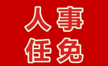 佳木斯市人事最新任免，城市发展的核心动力及未来展望