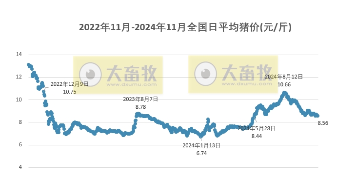 小猪价格今日动态，最新消息与市场影响因素分析