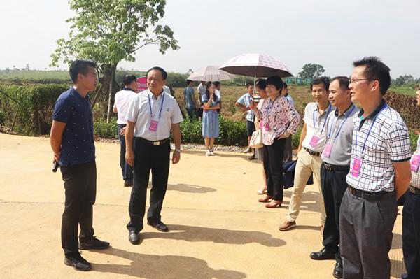 平南县领导班子的新气象与未来展望，新气象引领未来发展之路