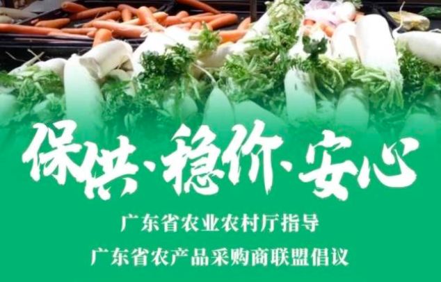 广东鸡价动态分析，新牧网最新报告揭示最新趋势