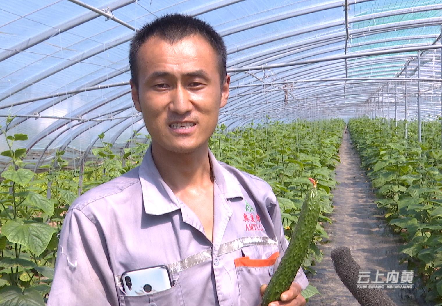 内黄花生米价格动态与市场分析摘要