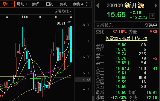 新开源股票动态，最新消息、行业趋势与公司分析概览